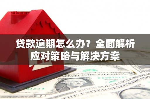 麻城贷款逾期怎么办？全面解析应对策略与解决方案