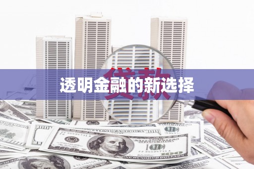 麻城透明金融的新选择