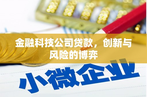 麻城金融科技公司贷款，创新与风险的博弈
