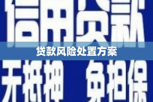 麻城贷款风险处置方案