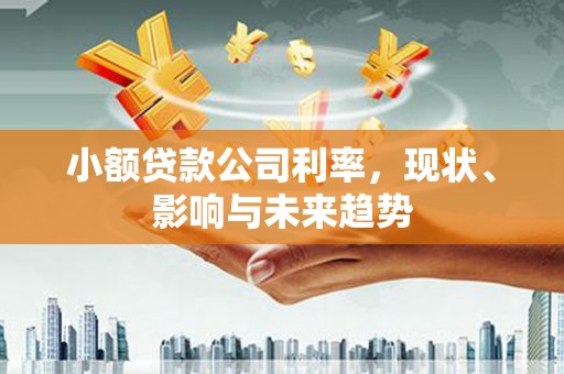 麻城小额贷款公司利率，现状、影响与未来趋势