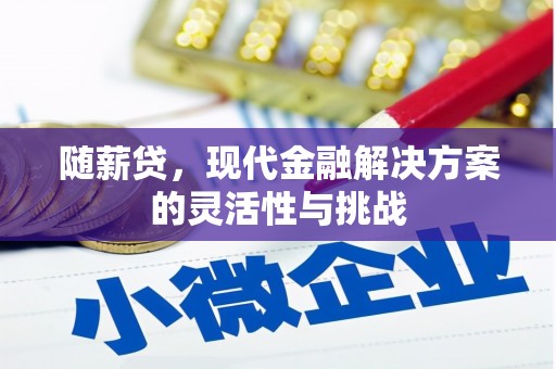 麻城随薪贷，现代金融解决方案的灵活性与挑战