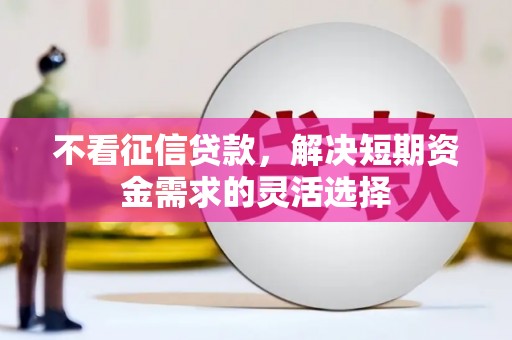 麻城不看征信贷款，解决短期资金需求的灵活选择