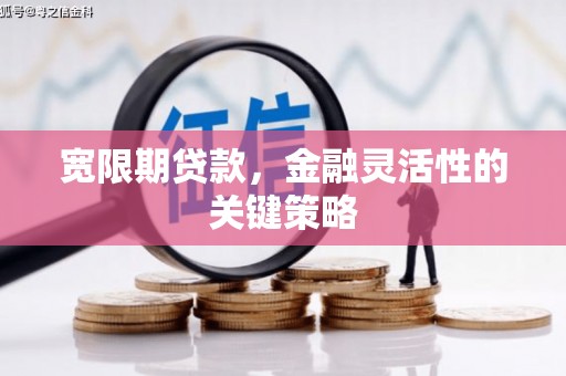 麻城宽限期贷款，金融灵活性的关键策略