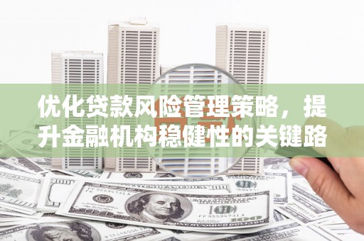 麻城优化贷款风险管理策略，提升金融机构稳健性的关键路径