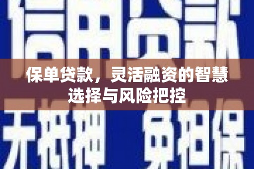 麻城保单贷款，灵活融资的智慧选择与风险把控