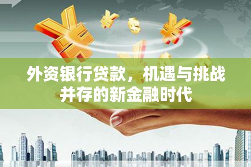 麻城外资银行贷款，机遇与挑战并存的新金融时代