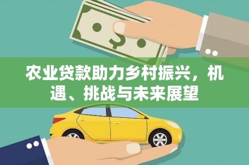 麻城农业贷款助力乡村振兴，机遇、挑战与未来展望