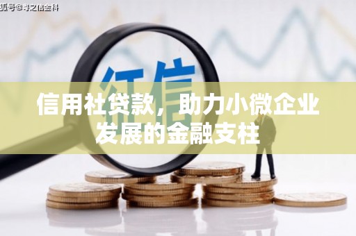 麻城信用社贷款，助力小微企业发展的金融支柱