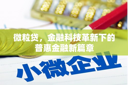 麻城微粒贷，金融科技革新下的普惠金融新篇章