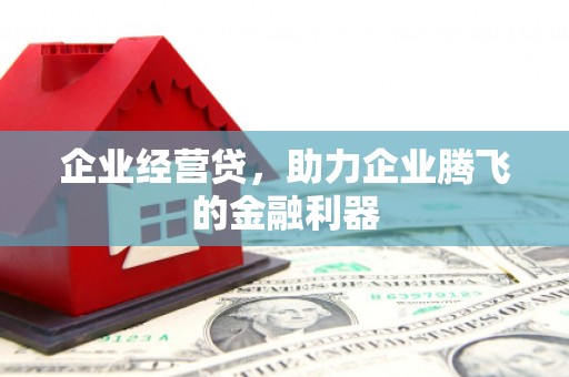 麻城企业经营贷，助力企业腾飞的金融利器