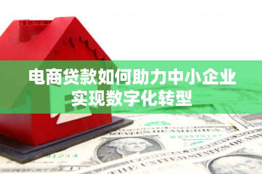 麻城电商贷款如何助力中小企业实现数字化转型