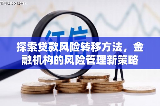 麻城探索贷款风险转移方法，金融机构的风险管理新策略