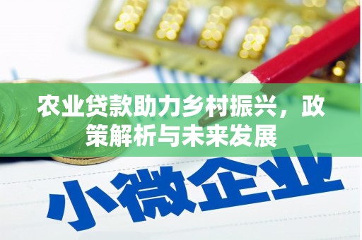麻城农业贷款助力乡村振兴，政策解析与未来发展