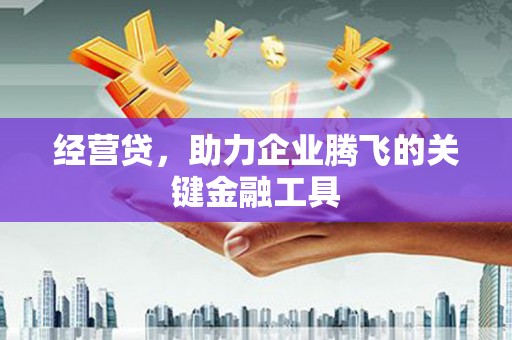 麻城经营贷，助力企业腾飞的关键金融工具