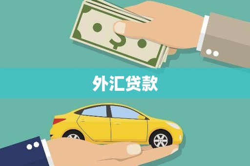 麻城外汇贷款