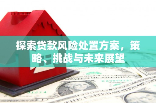 麻城探索贷款风险处置方案，策略、挑战与未来展望