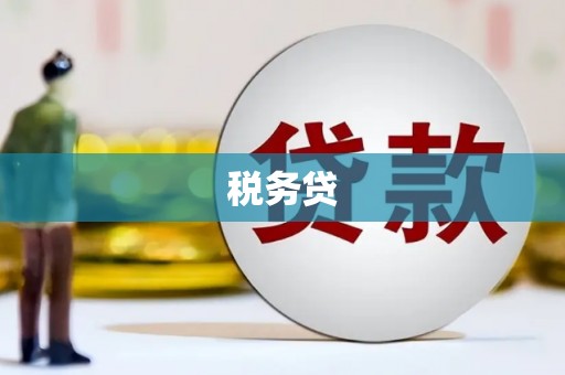麻城税务贷