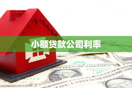 麻城小额贷款公司利率