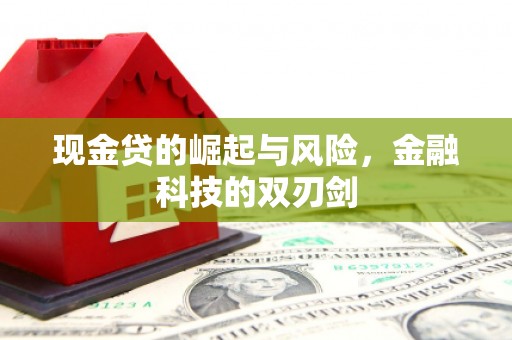 麻城现金贷的崛起与风险，金融科技的双刃剑