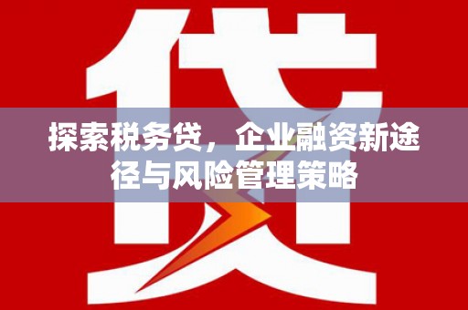 麻城探索税务贷，企业融资新途径与风险管理策略
