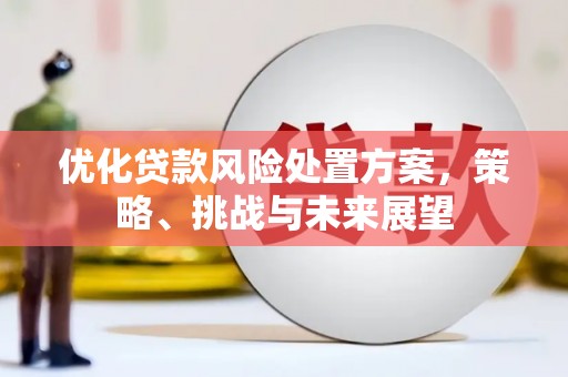麻城优化贷款风险处置方案，策略、挑战与未来展望