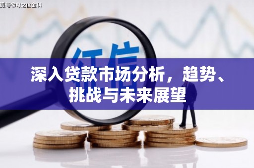 麻城深入贷款市场分析，趋势、挑战与未来展望