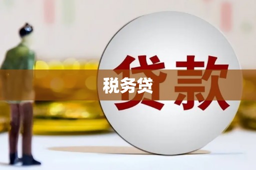 麻城税务贷