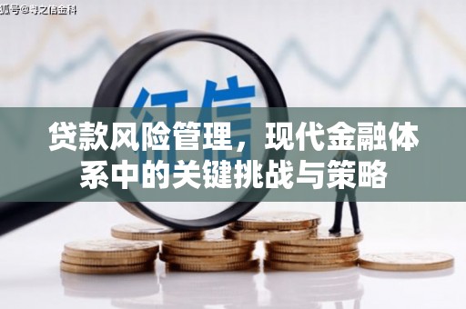 麻城贷款风险管理，现代金融体系中的关键挑战与策略