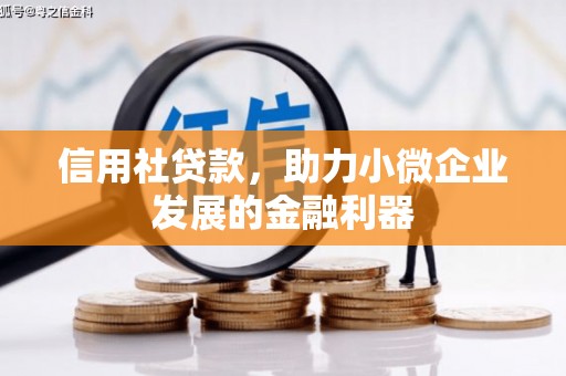 麻城信用社贷款，助力小微企业发展的金融利器