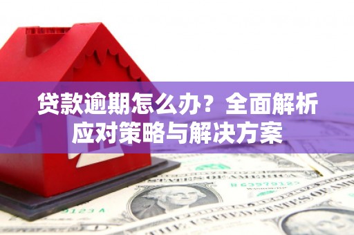 麻城贷款逾期怎么办？全面解析应对策略与解决方案