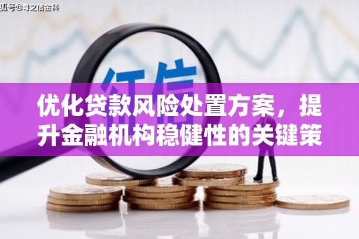 麻城优化贷款风险处置方案，提升金融机构稳健性的关键策略