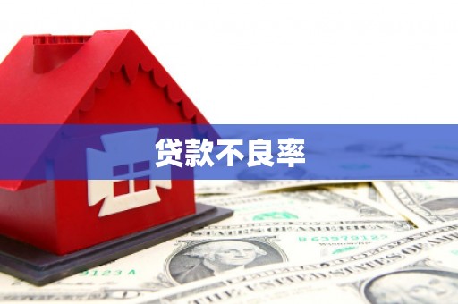 麻城贷款不良率