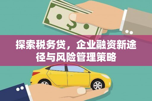 麻城探索税务贷，企业融资新途径与风险管理策略