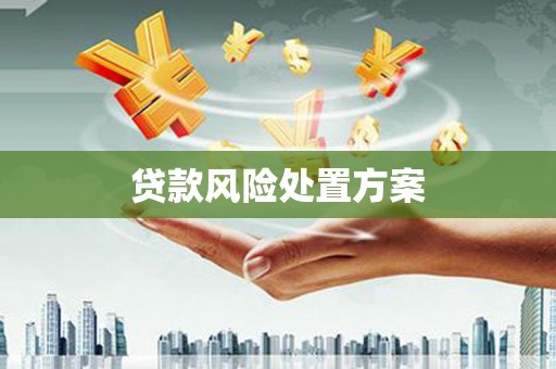 麻城贷款风险处置方案