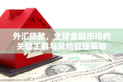 麻城外汇贷款，全球金融市场的关键工具与风险管理策略
