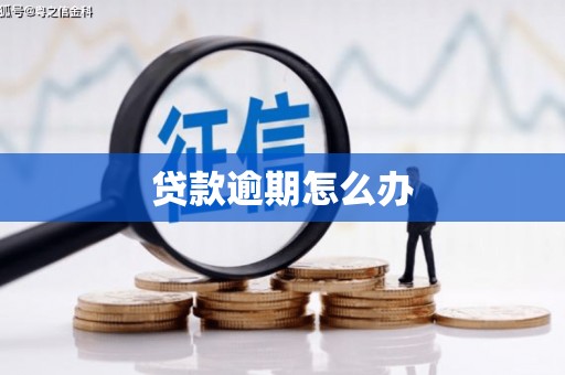 麻城贷款逾期怎么办