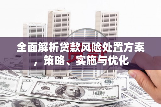 麻城全面解析贷款风险处置方案，策略、实施与优化