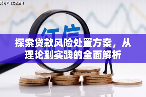 麻城探索贷款风险处置方案，从理论到实践的全面解析