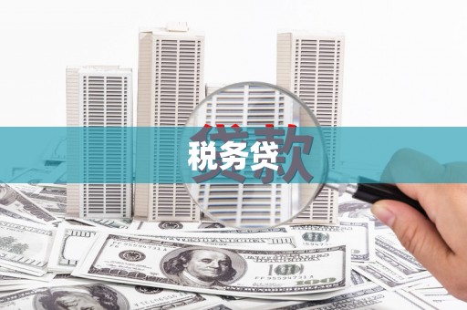 麻城税务贷