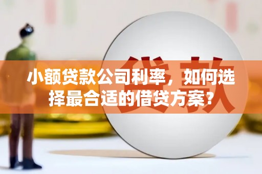 麻城小额贷款公司利率，如何选择最合适的借贷方案？