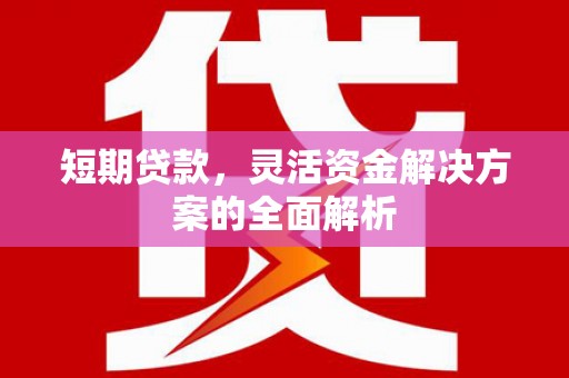 麻城短期贷款，灵活资金解决方案的全面解析
