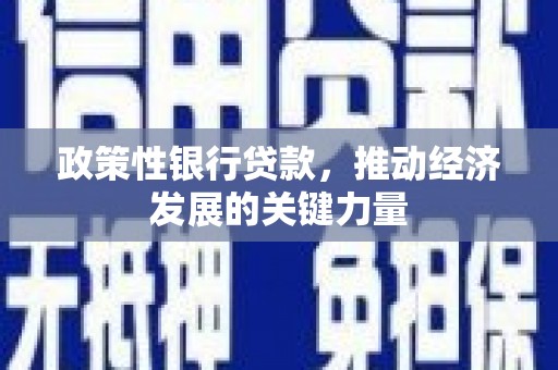麻城政策性银行贷款，推动经济发展的关键力量