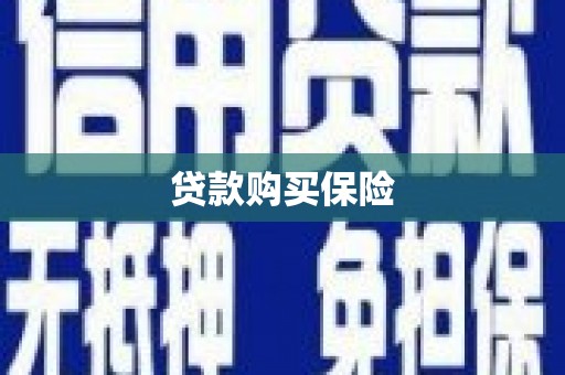 麻城贷款购买保险