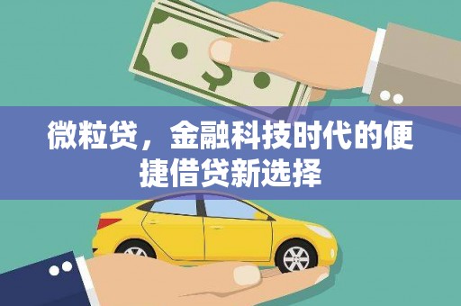 麻城微粒贷，金融科技时代的便捷借贷新选择