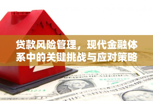 麻城贷款风险管理，现代金融体系中的关键挑战与应对策略
