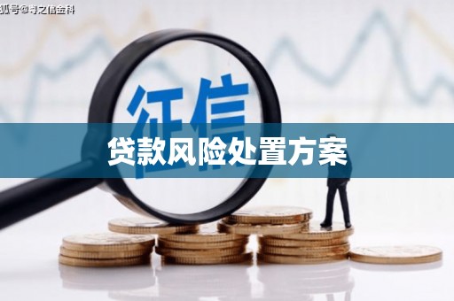 麻城贷款风险处置方案