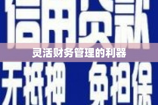 麻城灵活财务管理的利器