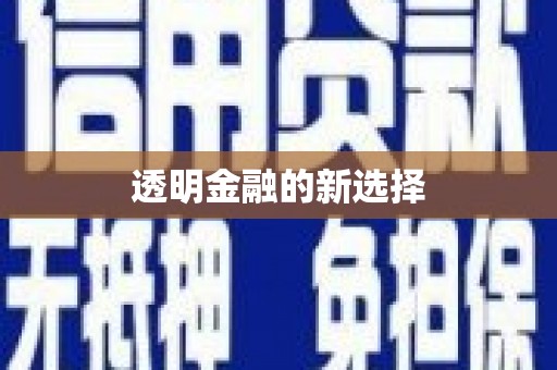 麻城透明金融的新选择