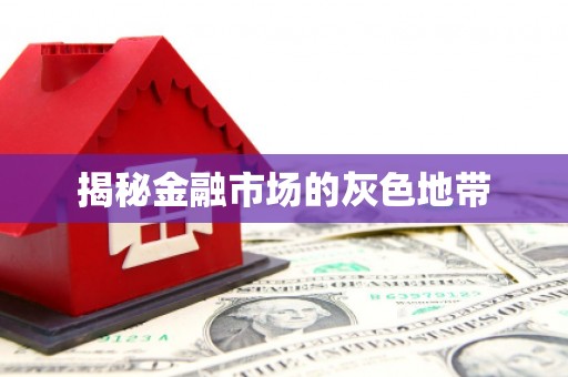 麻城揭秘金融市场的灰色地带